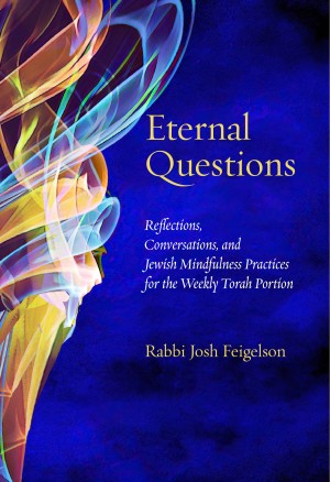 Cover of Eternal Questions: Reflections, Conversations, and Jewish Mindfulness Practices for the Weekly Torah Portion