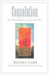 Cover of Consolation: The Spiritual Journey Beyond Grief