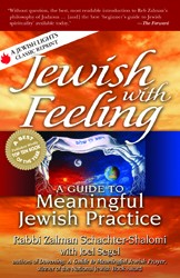 Cover of Jewish With Feeling: A Guide to Meaningful Jewish Practice