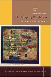 Cover of The Shape of Revelation