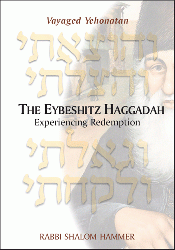 Cover of Vayaged Yehonatan, The Eybeshitz Hagaddah: Experiencing Redemption