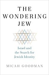 Cover of The Wondering Jew: Israel and the Search for Jewish Identity