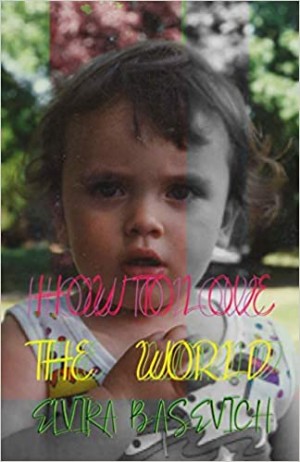 Cover of How to Love the World