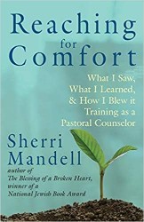 Cover of Reaching for Comfort: What I Saw, What I Learned, and How I Blew it Training as a Pastoral Counselor