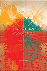 Cover of A Land Like You