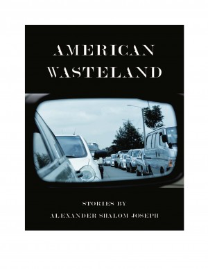 Cover of American Wasteland: Stories by Alexander Shalom Joseph