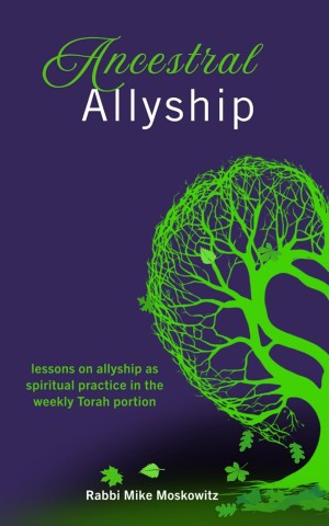 Cover of Ancestral Allyship: Lessons on Allyship as Spiritual Practice in the Weekly Torah Portion