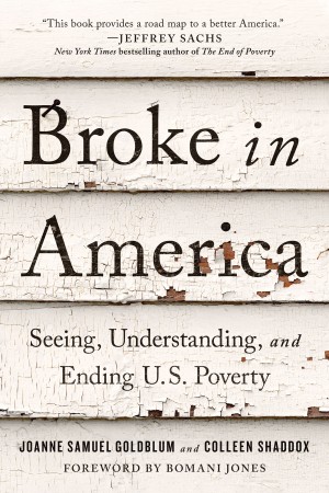 Cover of Broke in America: Seeing, Understanding and Ending US Poverty