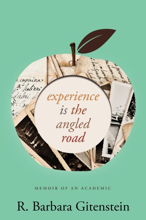 Cover of Experience is the Angled Road: Memoir of an Academic