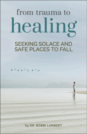 Cover of From Trauma to Healing: Seeking Solace and Safe Places to Fall