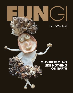Cover of Fungi: Mushroom Art Like Nothing on Earth