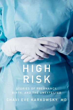 Cover of High Risk: Stories of Pregnancy, Birth, and the Unexpected