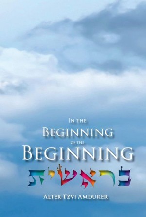 Cover of In the Beginning of the Beginning 2nd Edition