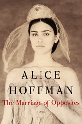 Cover of The Marriage of Opposites