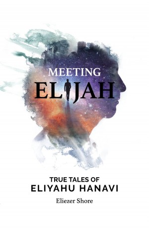 Cover of Meeting Elijah: True tales of Eliyahu Hanavi