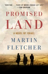 Cover of Promised Land: A Novel