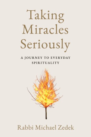 Cover of Taking Miracles Seriously: A Journey to Everyday Spirituality