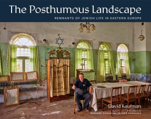 Cover of The Posthumous Landscape: Remnants of Jewish Life in Eastern Europe