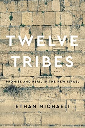 Cover of Twelve Tribes: Promise and Peril in the New Israel