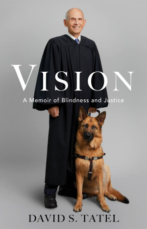 Cover of Vision: A Memoir of Blindness and Justice