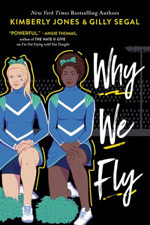 Cover of Why We Fly