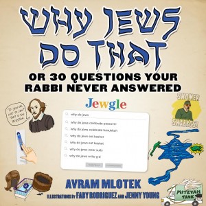 Cover of Why Jews Do That: Or 30 Questions Your Rabbi Never Answered