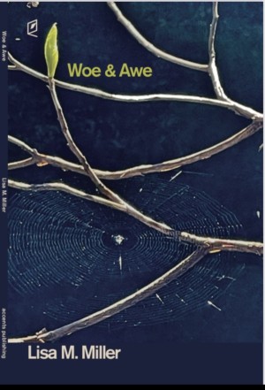 Cover of Woe & Awe