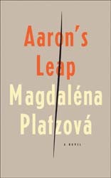 Cover of Aaron's Leap