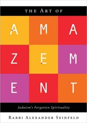 Cover of The Art of Amazement: Judaism's Forgotten Spirituality
