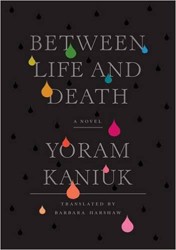 Cover of Between Life and Death