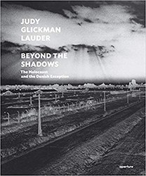 Cover of Beyond the Shadows