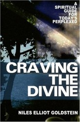 Cover of Craving the Divine: A Spiritual Guide for Today's Perplexed