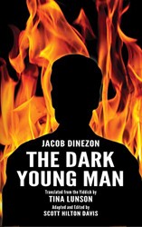 Cover of The Dark Young Man