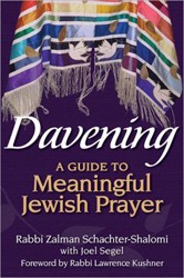 Cover of Davening: A Guide to Meaningful Jewish Prayer