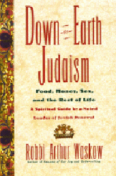 Cover of Down-To-Earth Judaism: Food, Money, Sex, And The Rest Of Life