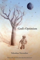 Cover of God's Optimism