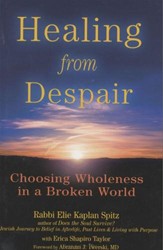 Cover of Healing from Despair: Choosing Wholeness in a Broken World