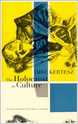 Cover of The Holocaust as Culture