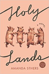 Cover of Holy Lands