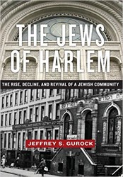 Cover of The Jews of Harlem