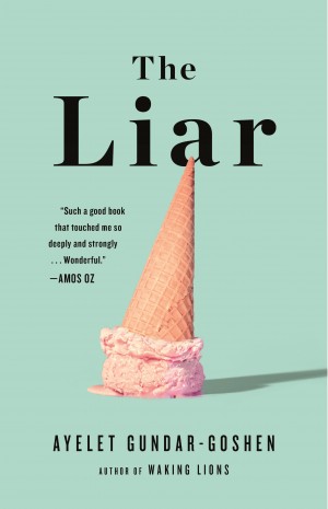 Cover of The Liar