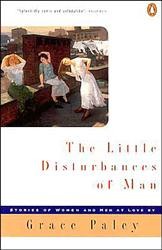 Cover of The Little Disturbances of Man