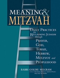Cover of Meaning & Mitvah: Daily Practices for Reclaiming Judaism Through Prayer, God, Torah, Hebrew,Mitzvot and Peoplehood