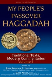Cover of My People's Passover Haggadah: Traditional Texts, Modern Commentaries Volume 1