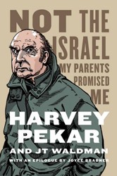 Cover of Not the Israel My Parents Promised Me