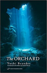 Cover of The Orchard