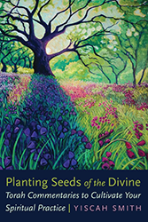 Cover of Planting Seeds of the Divine: Torah Commentaries to Cultivate Your Spiritual Practice