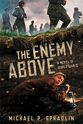 Cover of The Enemy Above: A Novel of World War II