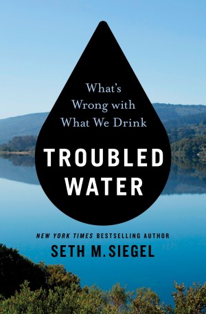 Cover of Troubled Water: What's Wrong with What We Drink