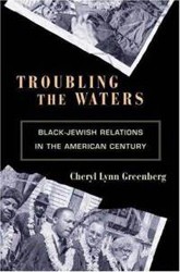 Cover of Troubling the Waters: Black-Jewish Relations in the American Century